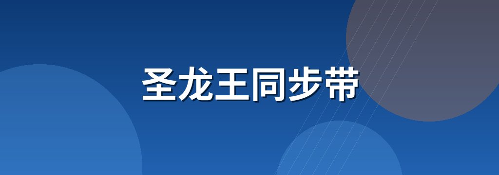 圣龙王同步带