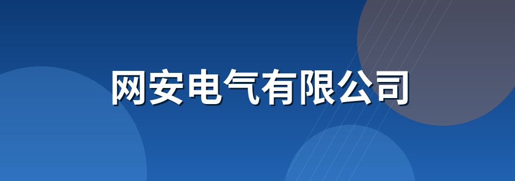 网安电气有限公司