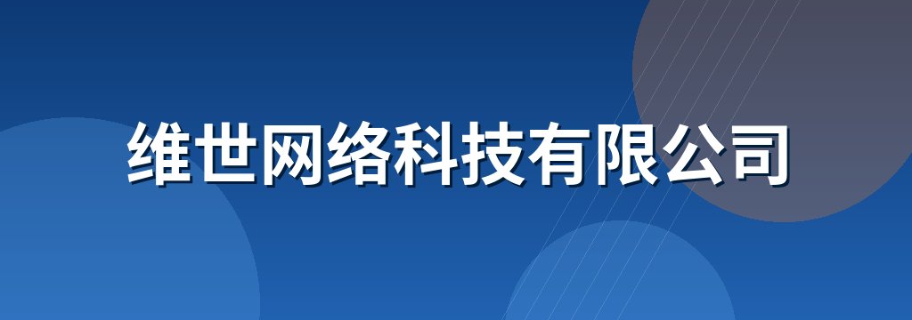 维世网络科技有限公司