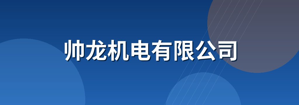 帅龙机电有限公司