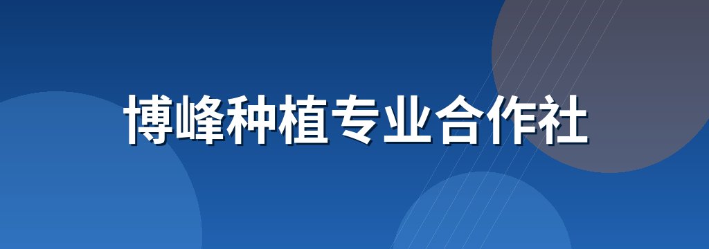 博峰种植专业合作社