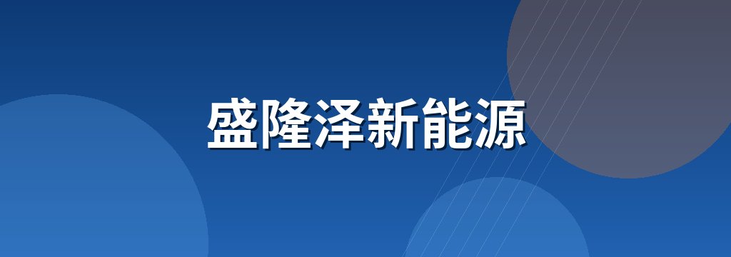 盛隆泽新能源