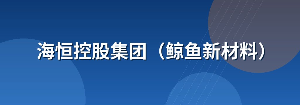 海恒控股集团（鲸鱼新材料）