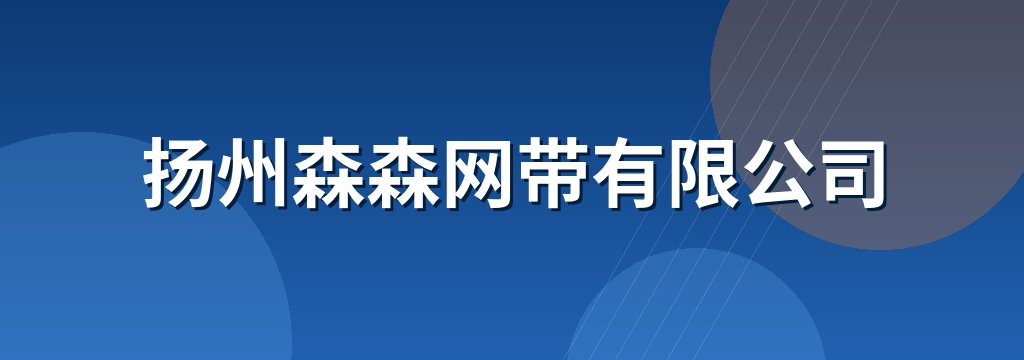 扬州森森网带有限公司